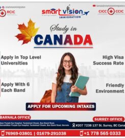 Smart Vision Immigration