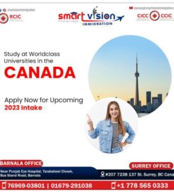Smart Vision Immigration