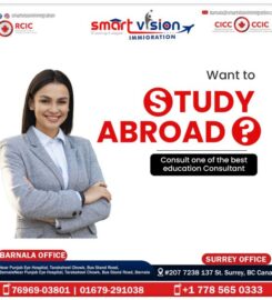 Smart Vision Immigration