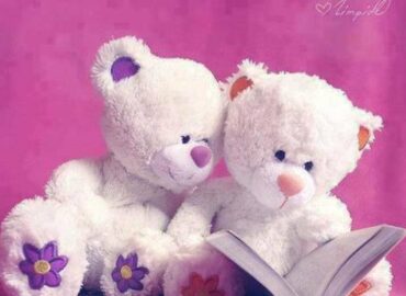 Singla Gift Gallery