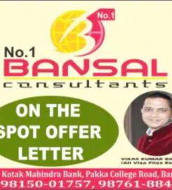 No 1 Bansal Consultants Barnala