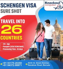 KNOCKOUT IMMIGRATION