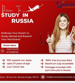 Unisons Visa Consultant
